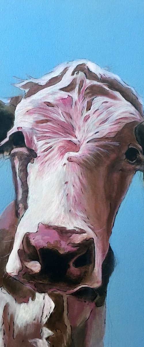 Pinky cow original painting by Paul Hardern