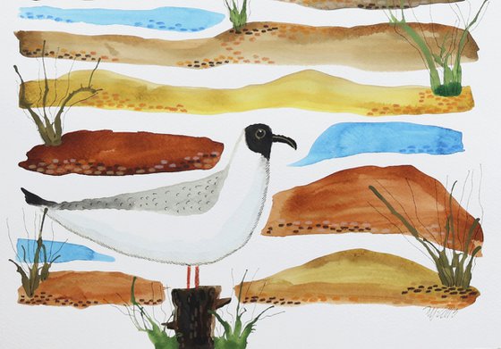 A stroll on the beach