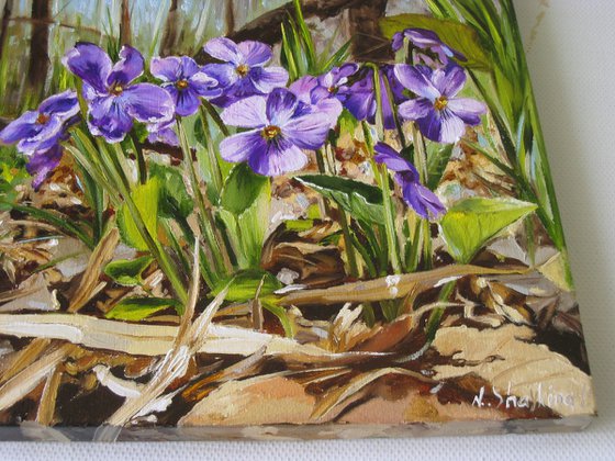 Sweet Violet in the Spring Forest, Woodland Scenery, Realistic Floral