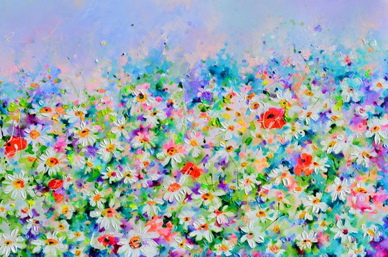 White Daisy and Red Poppy Field