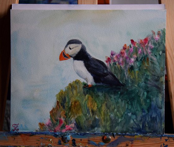 Watercolor painting Icelandic bird Puffin