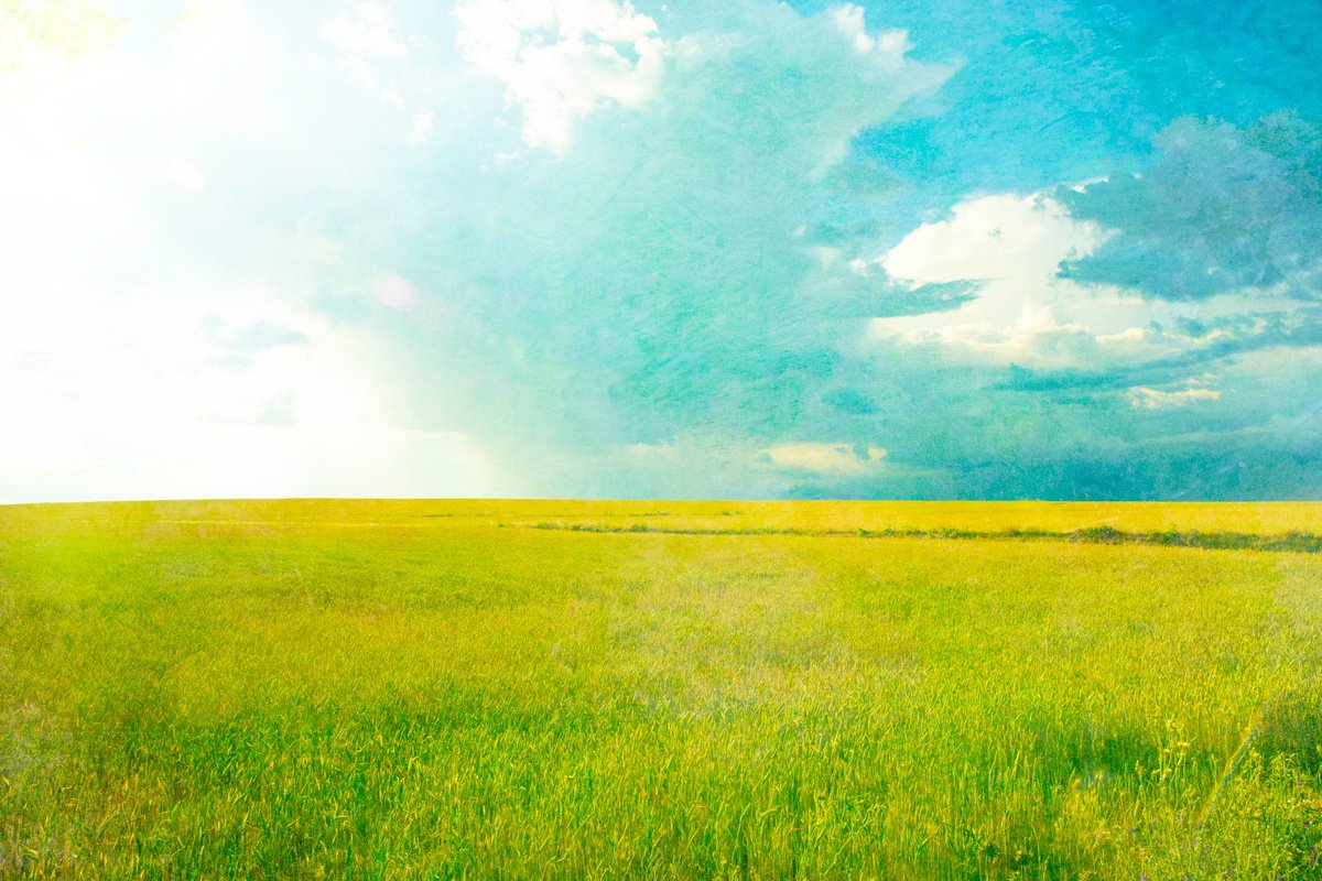 Impressionistic Landscape Photograph By Viet Ha Tran, 37 X 25", Flow Of Life, Original Artwork