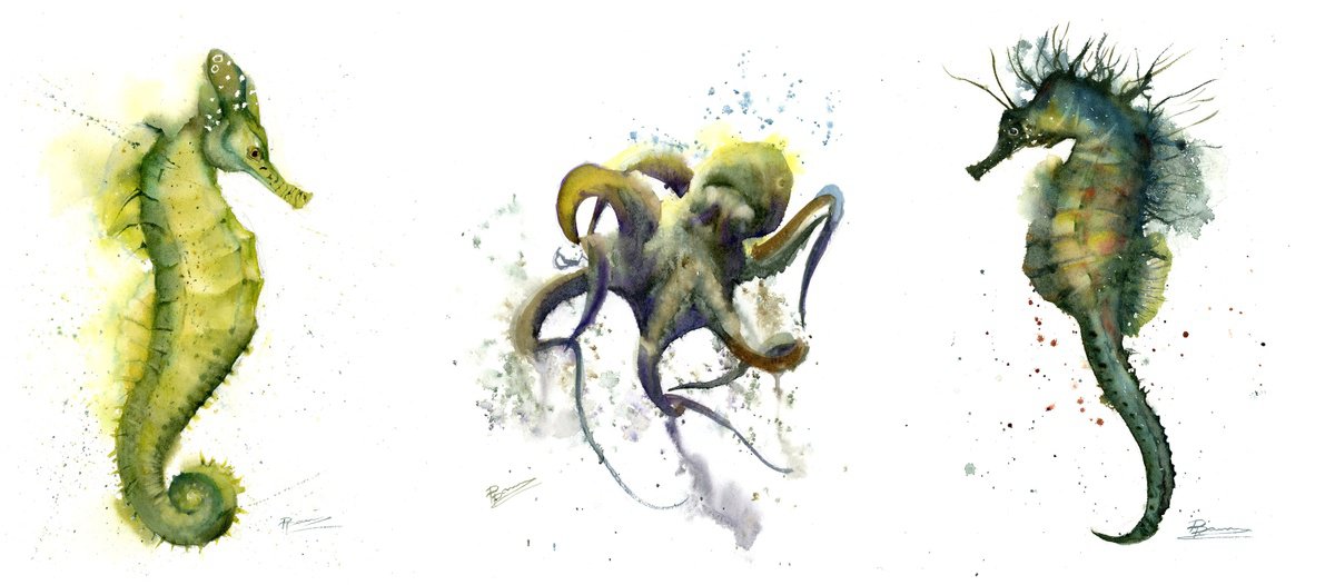 Impressionistic Watercolour , Ocean Creatures - Triptych By Olga Tchefranov (Shefranov), 33 X 15, Artwork For Sale On Artfinder