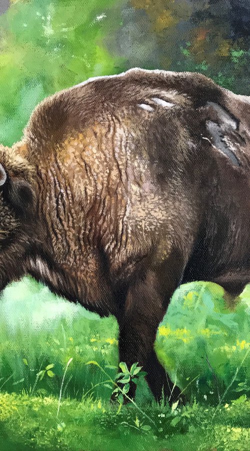 Bison by Kakajan Charyyev