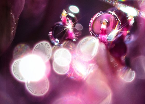 Purple Dreams - Studio Edition