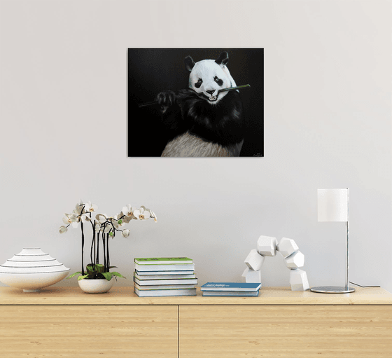 Panda with bamboo