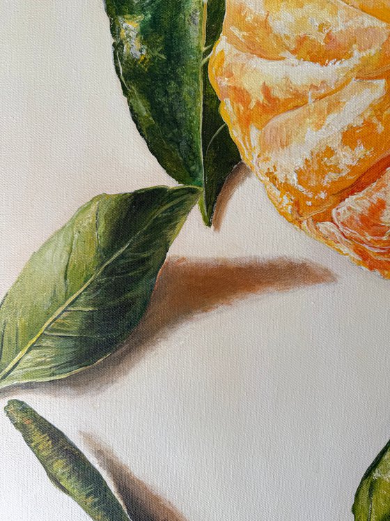Abundance