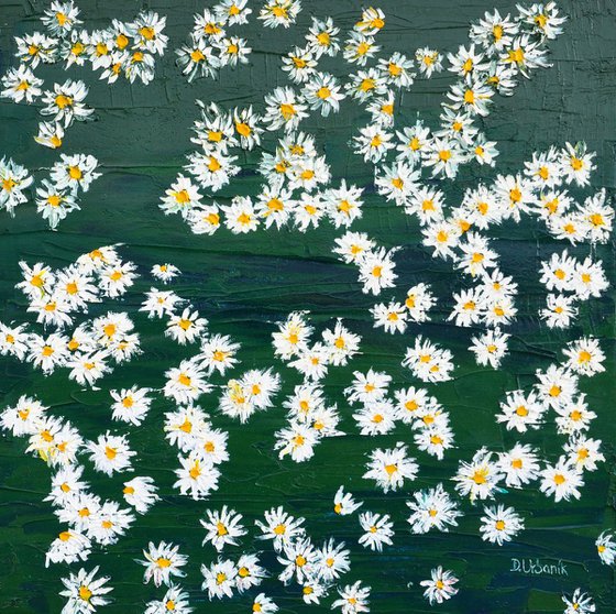 Daisies