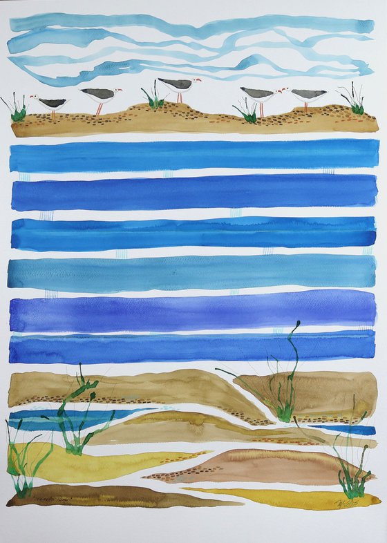 Seagulls Picnic