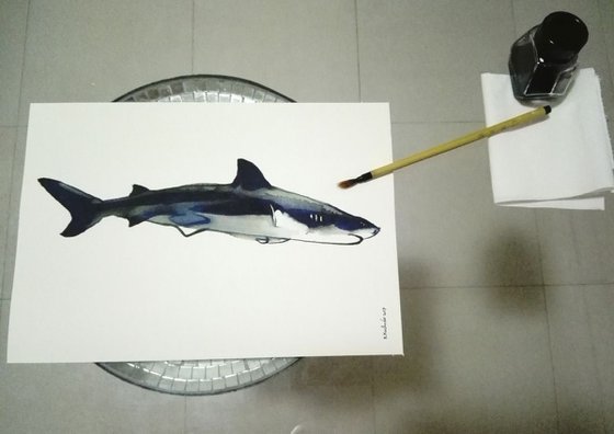 Shark I Animal Drawing