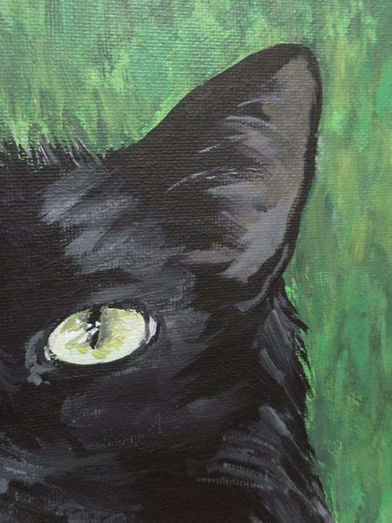 Charismatic Cat
