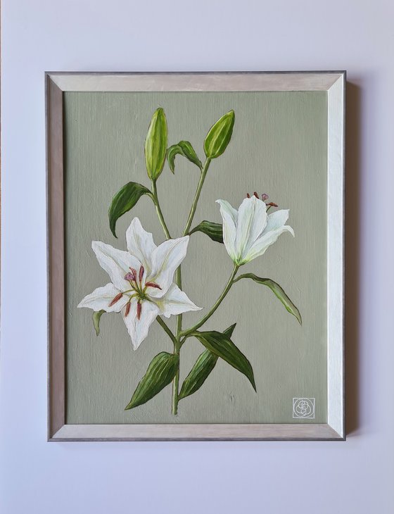 Oriental Lily Study 2