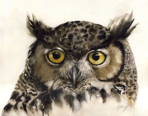Owl  Watercolor