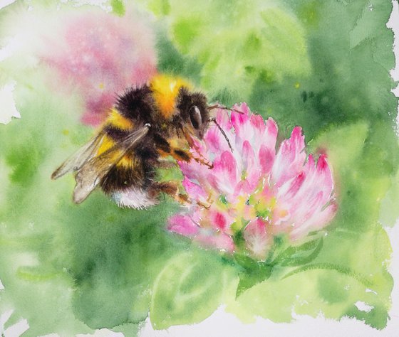 Bumblebee on Clover Watercolour Painting - Summer Bumble bee