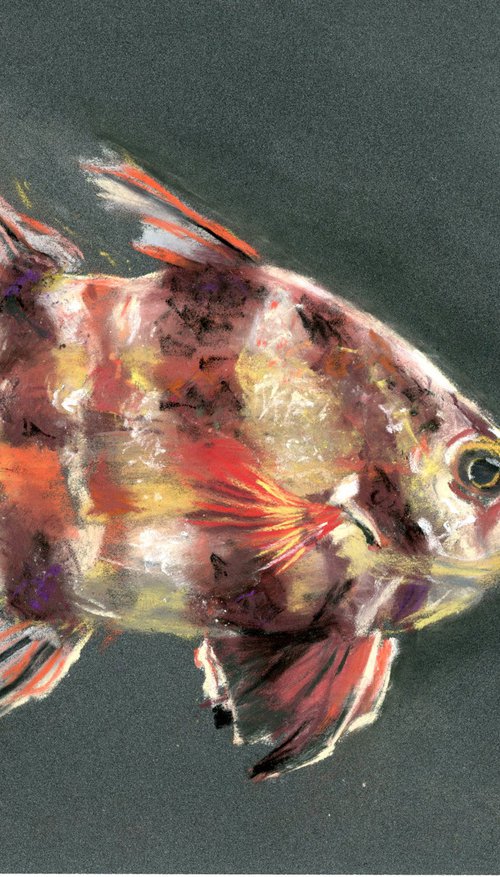 Fish (pastel) by Olga Tchefranov (Shefranov)