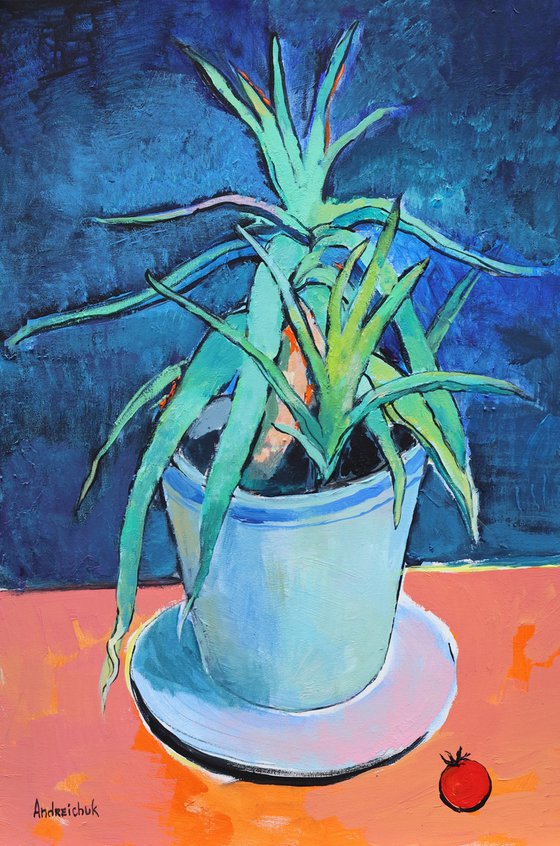 Aloe Vera and Tomato