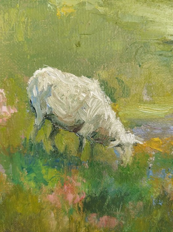 Three sheep