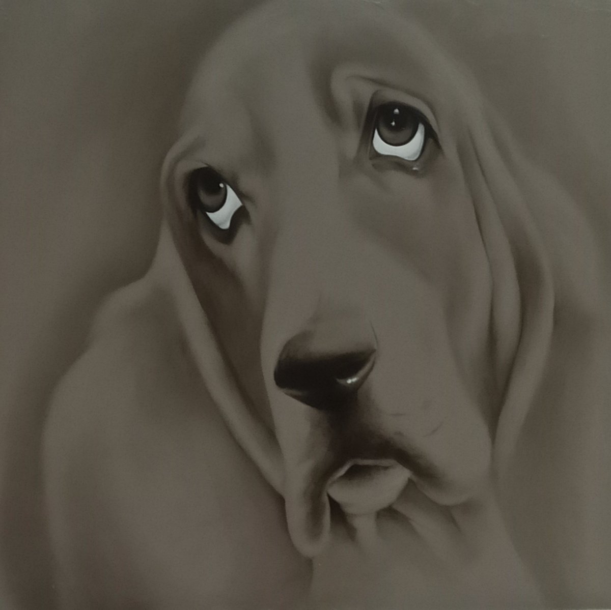 Animal Oil Painting By Nicoletta Bagatti, 19 X 19", Arturo, Original Artwork