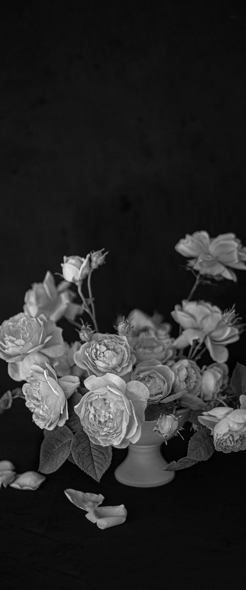 English Roses by Cornelia Weber