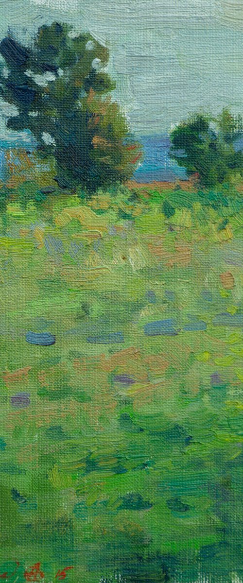 Meadow - Original Oil Painting by Anastasia Borodina
