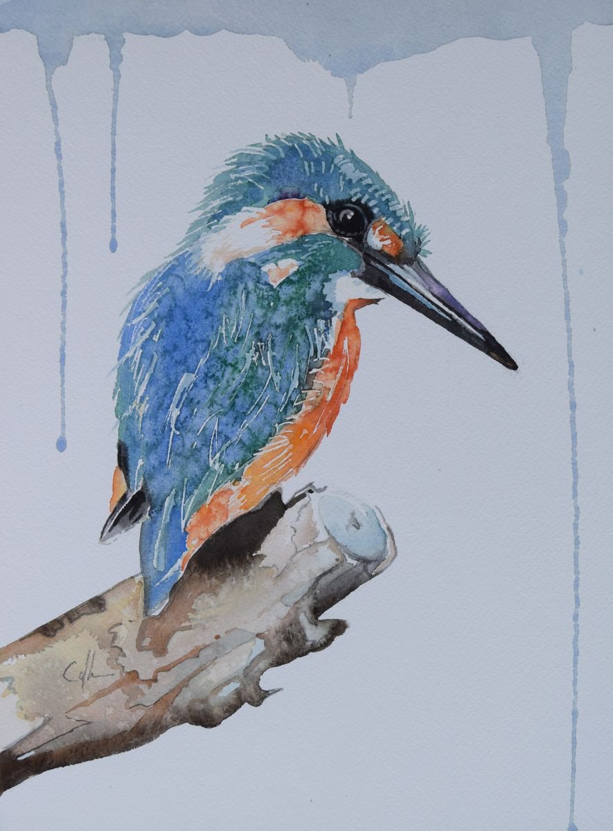 mr-kingfisher-watercolour-by-nicola-colbran-artfinder