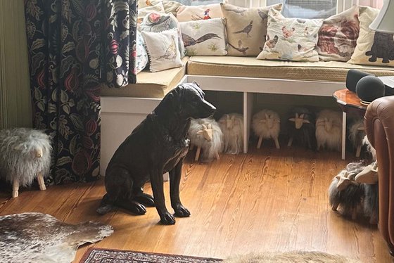 Sitting Sporting Labrador BR