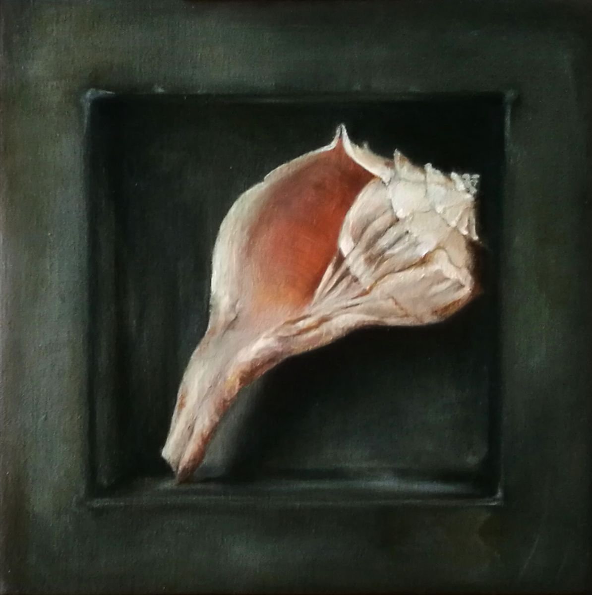 Photorealistic Still Life Oil Painting By Daniela Roughsedge, 9 X 9, Conch Shell, Original Artwork