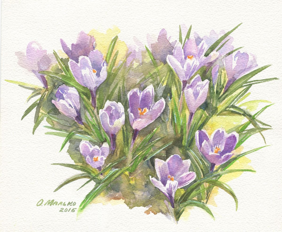 Violet crocuses / Early spring flowers Floral watercolor by Olha Malko