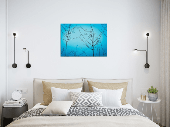Twilight in the outdoors | Limited Edition Fine Art Print 1 of 10 | 60 x 40 cm