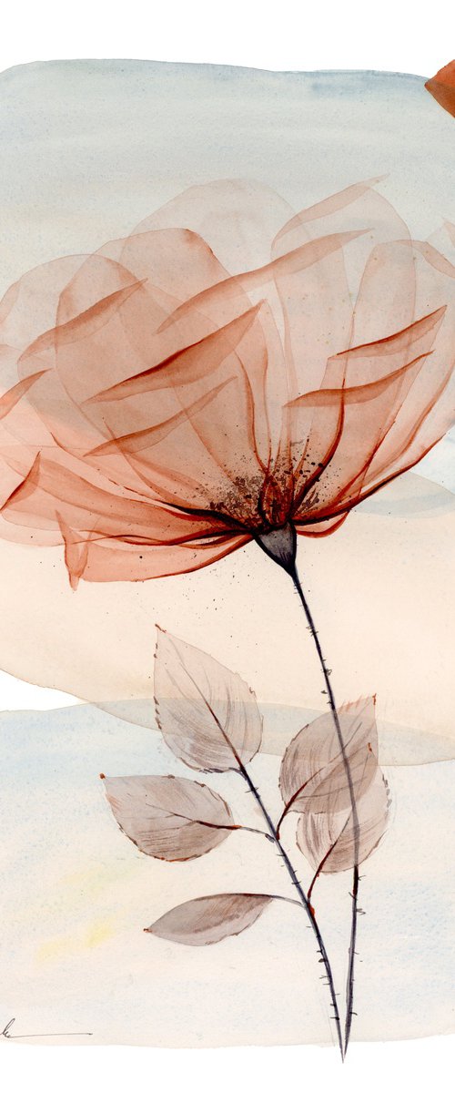 Rose on the Rocks by Olga Kölsch