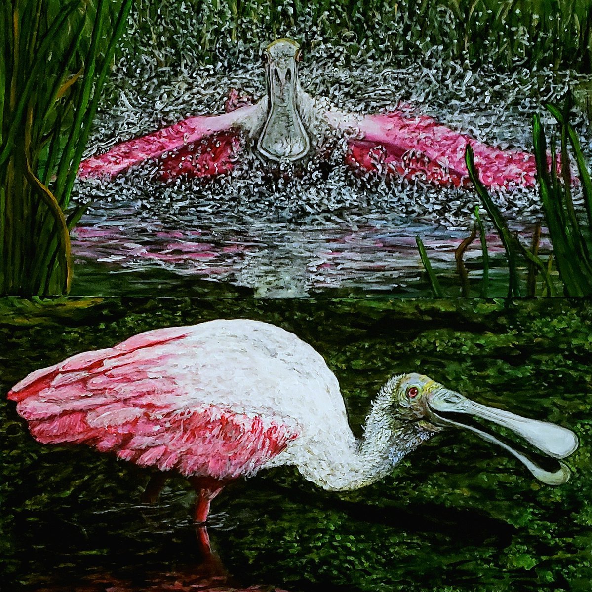 Roseate Spoonbill Diptych by Robbie Potter