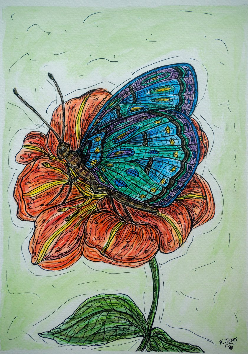 Watercolour , Imagine Butterflies A By Kim Jones Miller, 11 X 15, Artwork For Sale On Artfinder