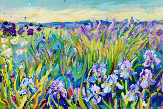 Iris Fields