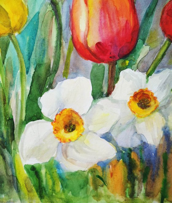 Spring Tulips