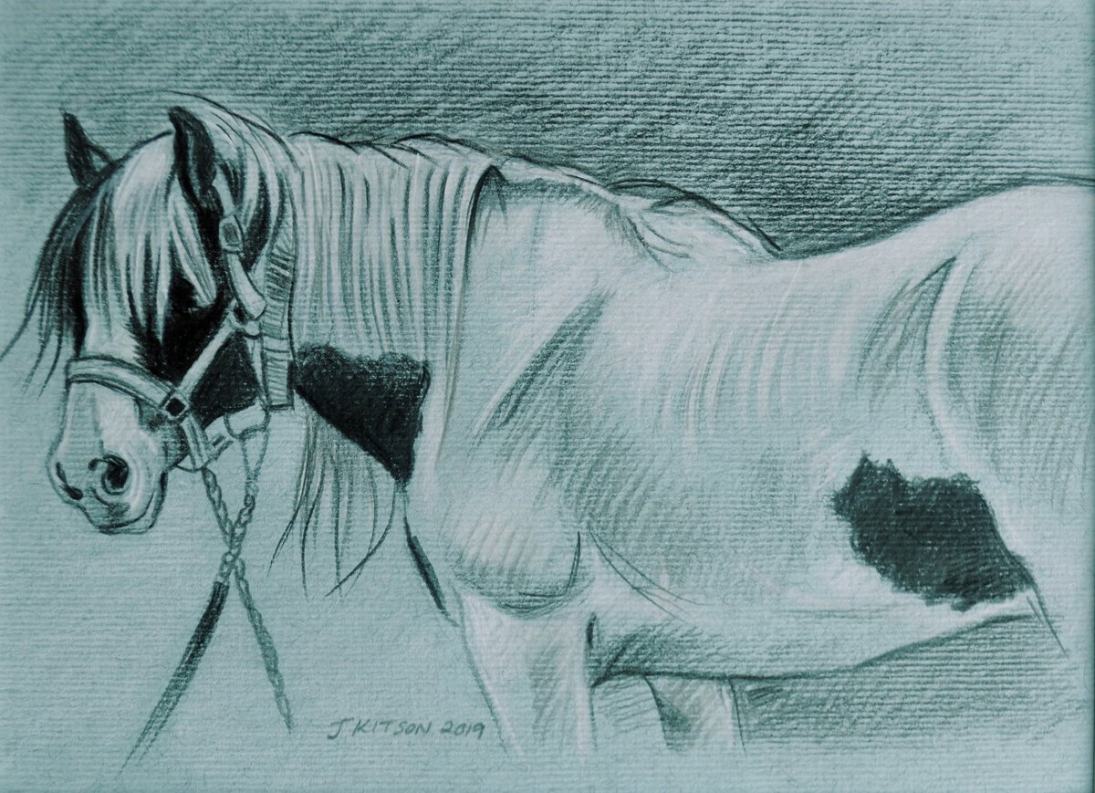 Tinker Mare (Gypsy Cob Pony) by Joanne Kitson