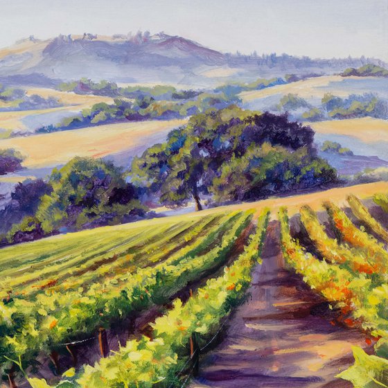 California vineyard landscape