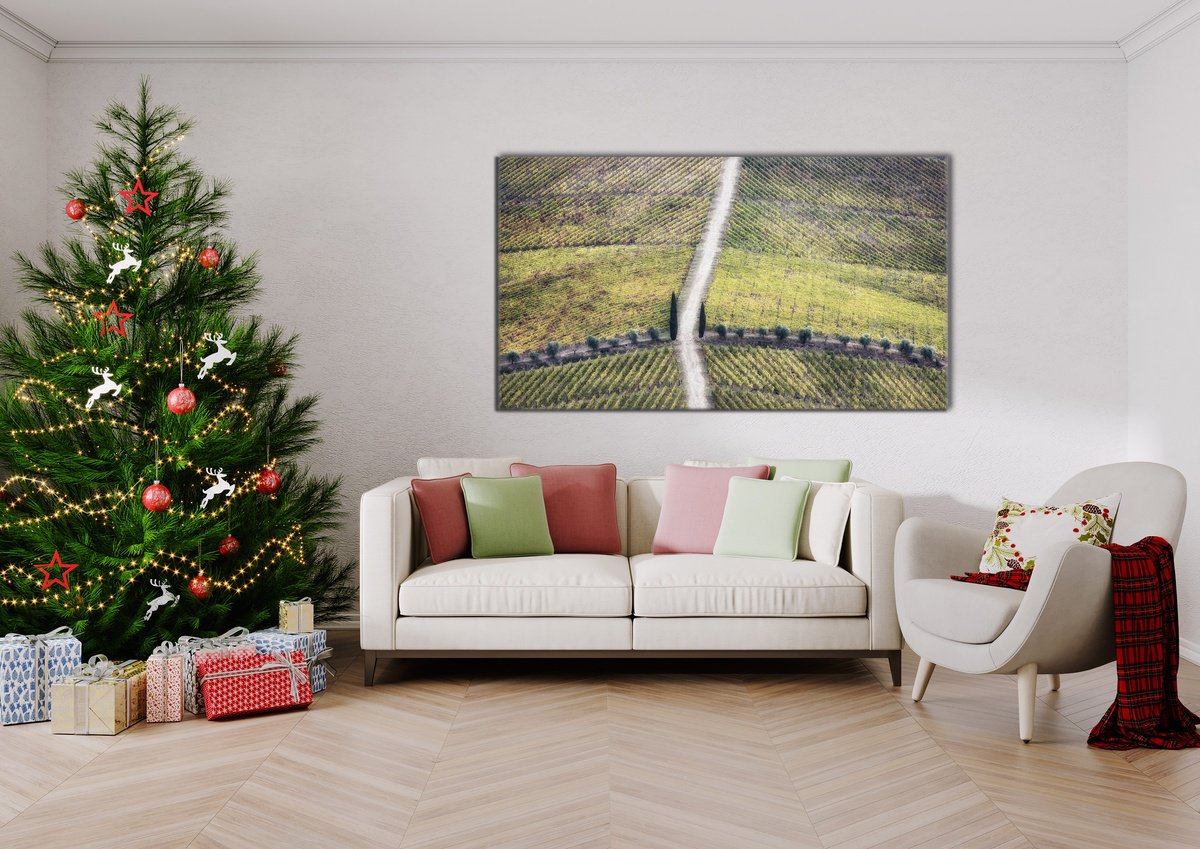 Impressionistic Photograph , Geometric Vineyards By Karim Carella, 39 X 24, Artwork For Sale On Artfinder