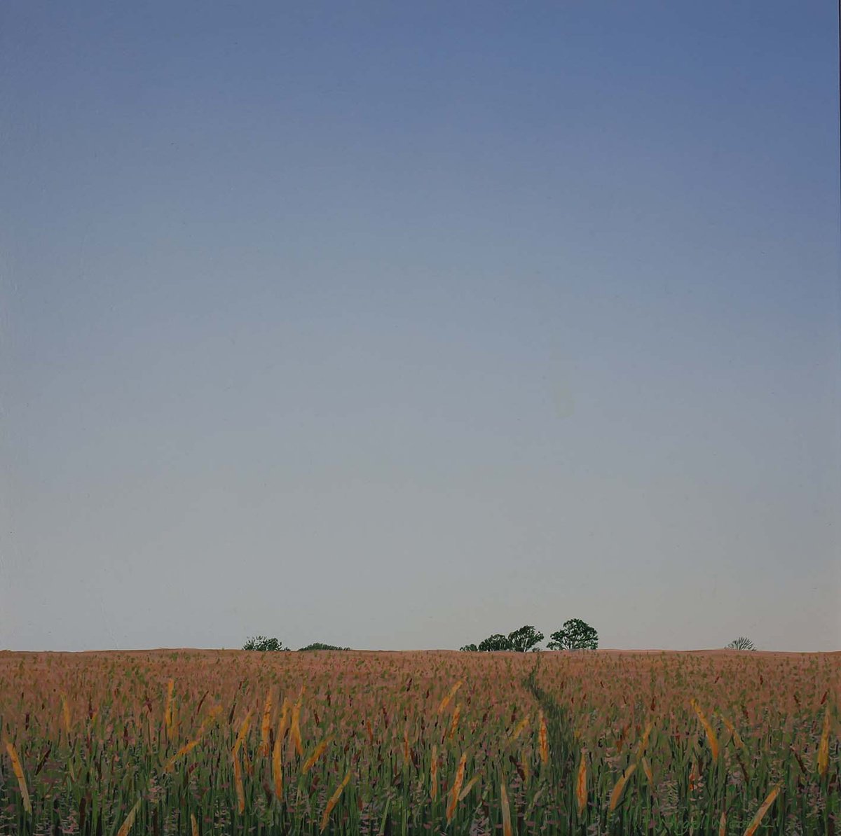 Grass Bank by Nigel Wood