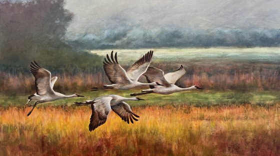 Warm rain through sunlight