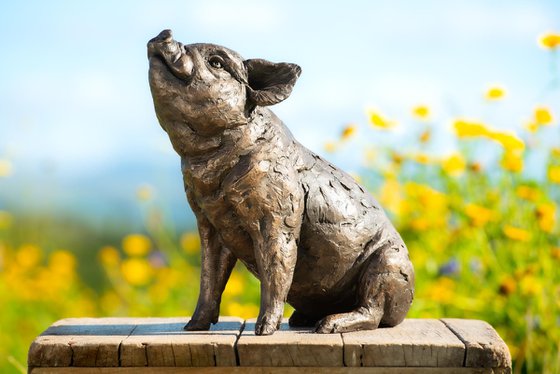 Sitting Piglet BR
