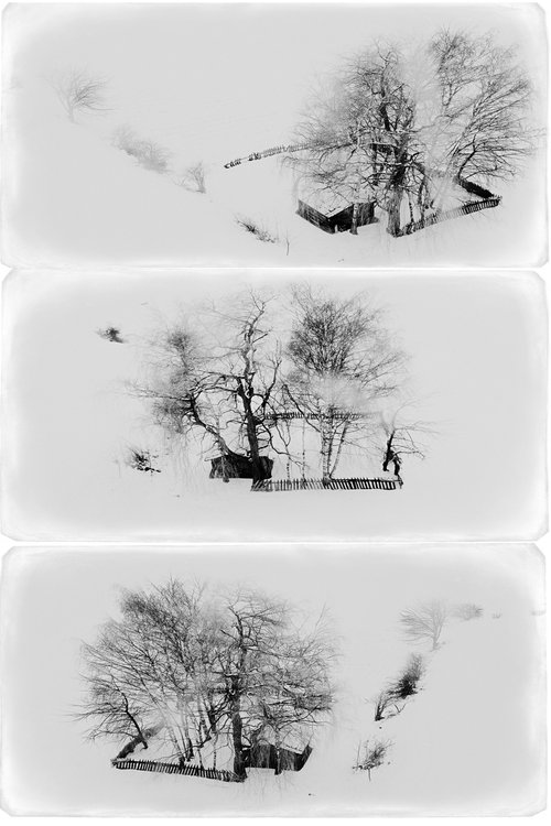 memories of the last winter by Elena Raceala