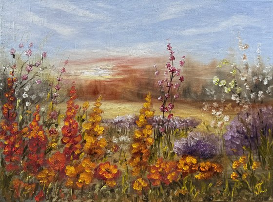 A meadow in bloom