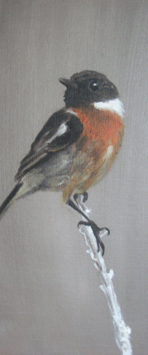Bird by Jack Bagley