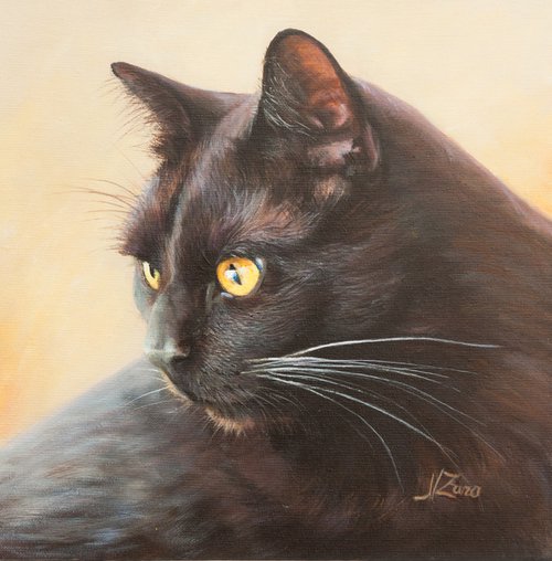 Black cat portrait by Norma Beatriz Zaro