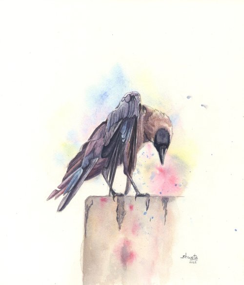 Greynecked Crow by Shweta  Mahajan