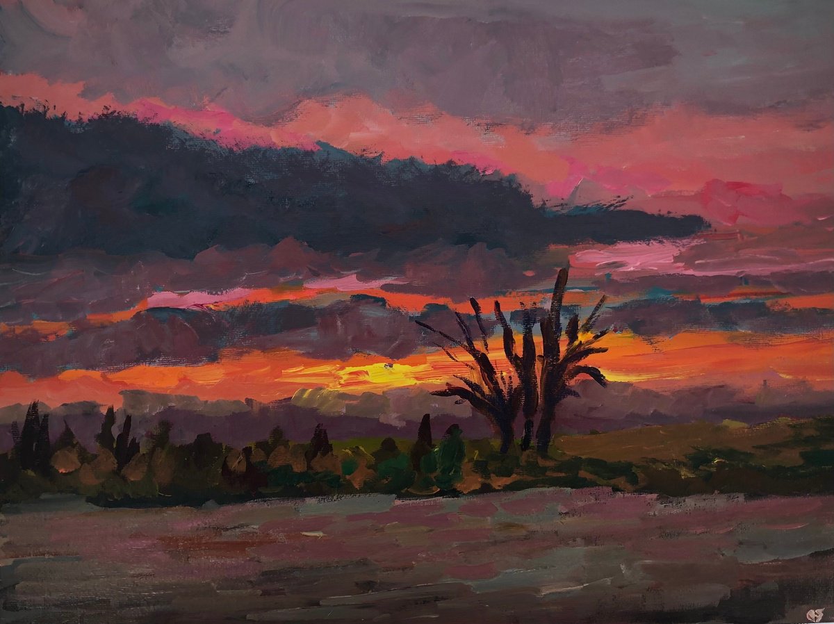 Sunset over plains by Ramya Sarveshwar