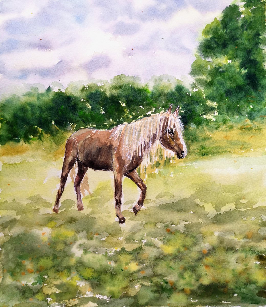 Horse by Elina Venkova