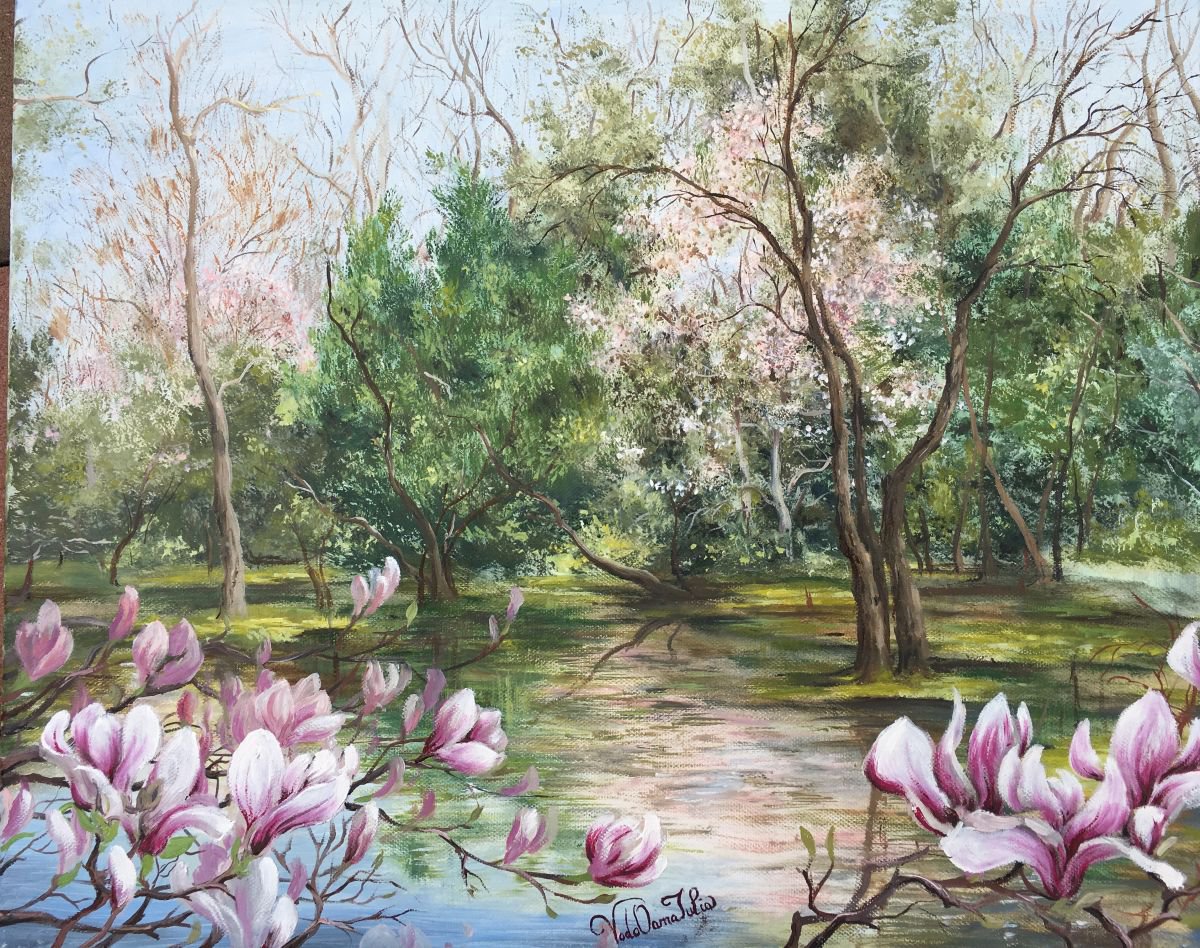 Magnolia by oana voda