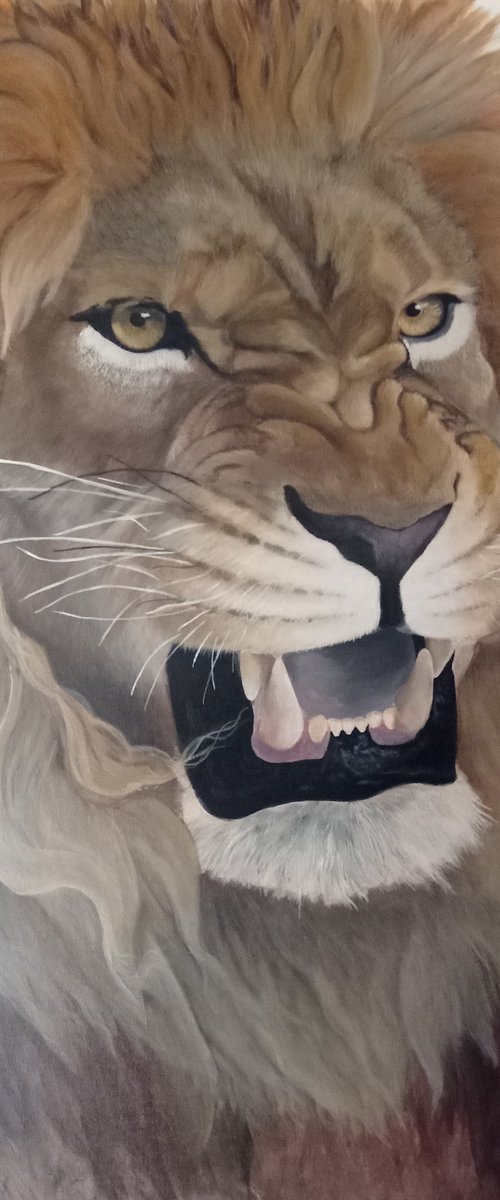 Lion's roar by Leonardo Calonaci