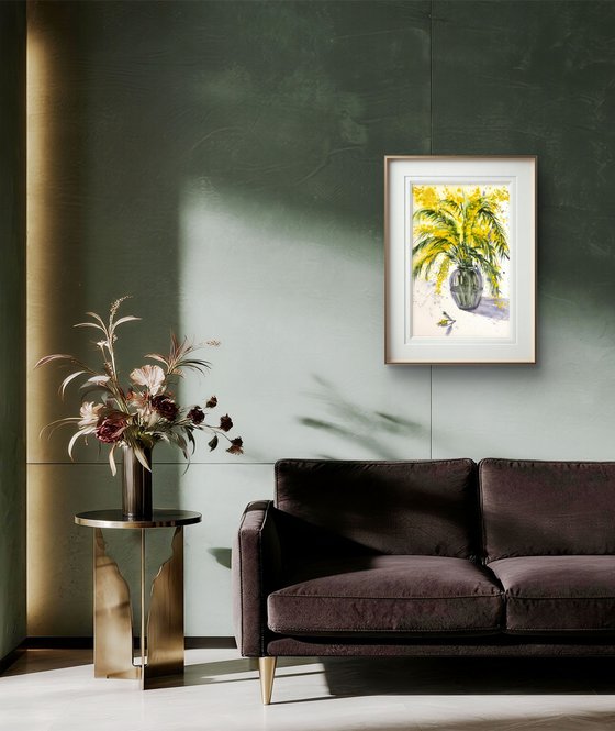 Mimosa branch Acacia Dealbata